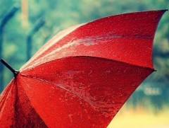 Долоодугаар сард зүүн болон говийн аймгуудын нутгаар олон жилийн дунджаас ахиу хур тунадас орно