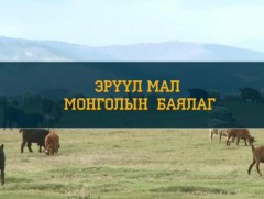 Эрүүл мал Монголын баялаг