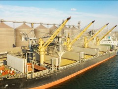 Хар тэнгисийн боомтоос үр тариа тээвэрлэсэн онгоцны эхний цуваа хөдлөхөөр бэлтгэж байна 