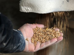 Украинчууд үр тариа нийлүүлэх төлөвлөгөөгөө хэрэгжүүлнэ