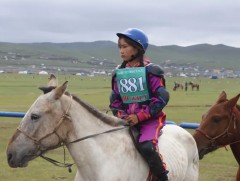 344 соёолон бүртгүүлснээс 250 нь гарааны зурхай руу мордлоо