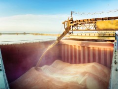 Украины үр тарианы экcпорт дахин сэргэх нь эргэлзээтэй байна 