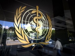 ДЭМБ сармагчны цэцэг өвчнөөс сэрэмжлүүллээ