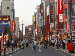 Япон улсад цар тахлын  тархалт хамгийн өндөр байна 