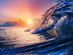 Далай тэнгисийн аялгуу