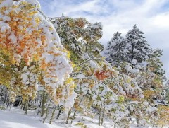 Сарын хуучийн тэнгэр