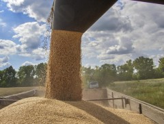 НҮБ болон БНТУ Украины үр тариаг экспортлох тухай хэлэлцээрийг хадгалж үлдэхээр чармайж байна 