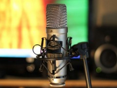 Амралтын мэдээ