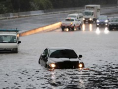 Шинэ Зеландад үерийн улмаас онц байдал зарлажээ 