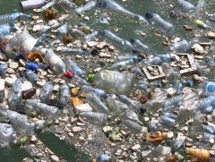 Дэлхийн далайн усанд өдгөө 170 их наяд гаруй хуванцар хөвж байна