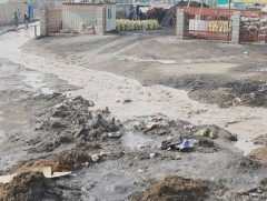 Нийслэл хотын хөрсний 88 хувь нь нянгийн бохирдолтой байна