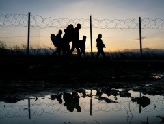 Унгар улс хүмүүсийг хууль бусаар хил давуулсан хэрэгтнүүдийг суллажээ