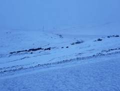 Зүүн аймгуудын нутгаар нойтон цас орж, цасан болон шороон шуургатай байхыг анхааруулж байна