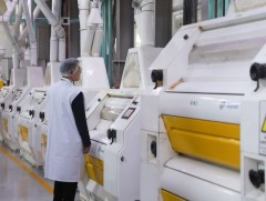 “Улаанбаатар гурил” ХК дотоодын хэрэгцээг хангаж, экспортод ч гаргана