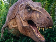 Өмнөговь аймагт “Динозавр фестиваль” болно 