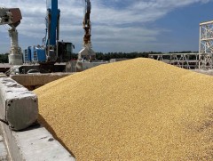 НАТО-Украины зөвлөл Хар тэнгисийн санаачилгатай холбоотой асуудлыг хэлэлцэнэ 