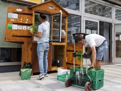 Хүнсний хаягдлыг бууруулах зорилготой үнэгүй хоолны хөргөгч гудамжинд байршуулжээ 