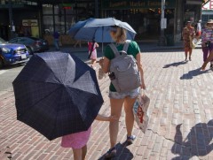 АНУ-д хэт халалт гамшгийн түвшинд хүрчээ