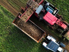 Ган гачгийн улмаас Франц улсад ургац хураалт эрт эхэлж байна