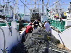 Хонконг: Японы далайн бүтээгдэхүүний импортод хязгаар тогтооно 