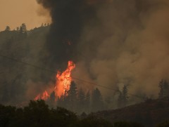 ДЭМБ: Ой хээрийн түймрийн утаа алсдаа эрүүл мэндэд маш хортой