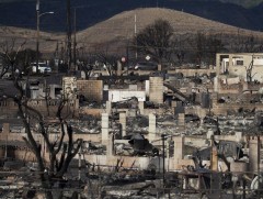 АНУ-ЫН Хавай мужийн эрх баригчид гал түймрийн аюулыг дутуу үнэлсэн тухай CNN мэдээллээ 