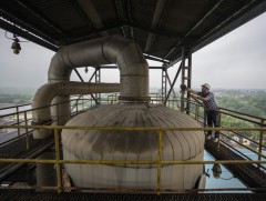 БНЭУ: Био түлшний хэрэглээ нэмэгдвэл хүлэмжийн хийн ялгарлыг бууруулж чадна 