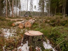 Европын холбоо экологийн гэмт хэрэгт оногдуулах шийтгэлийг чангатгана 