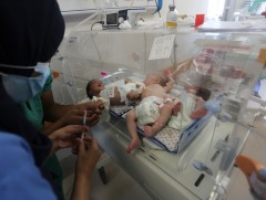 ДЭМБ: Аль-Шифа эмнэлгээс нүүлгэн шилжүүлсэн нярай хүүхдүүдийн биеийн байдал хүнд байна