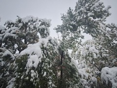 Энэ сард баруун аймгуудын нутгаар хур тунадас ахиу орох төлөвтэй байна