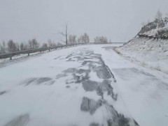АТҮТ: Албан ёсны даатгалтай тээврийн хэрэгсэл сонгож зорчихыг зөвлөж байна