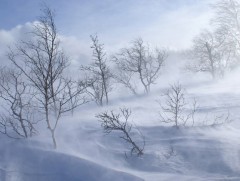 Ховд аймгийн ихэнх сумдаар хүчтэй салхи шуурч байна