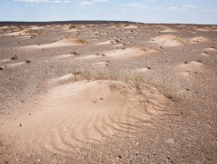 Монгол орны нийт нутгийн 76 хувь нь цөлжилт, газрын доройтолд өртжээ 