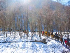 Стандартын шаардлагад нийцсэн ариун цэврийн өрөө аялал жуулчлалд чухал үүрэгтэй 