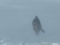 Өвөлжилт улам хүндрэх эрсдэлтэй байна 