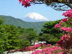 Япон улсын Фүжи ууланд авирахын тулд төлбөр төлдөг болно