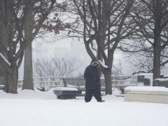 АНУ-д хүйтний эрч чангарч, 90 хүн амь үрэгдэв