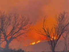 Техас мужийн Панхандле хотод ойн түймэр дэгджээ 