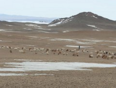 Баруун аймгуудын нутгаар дулаан байх боловч гэнэтийн салхи шуургатай байх магадлал өндөр байна