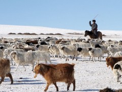 ЗГ: Байгаль, цаг уурын өөрчлөлтөөс шалтгаалсан сөрөг нөлөөллийг бууруулах тухай хуулийн төслийг хэ..