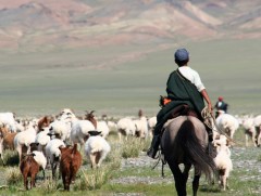 ЗГ: Хууль болон цогц төлөвлөгөө батлан хэрэгжүүлнэ