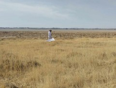 Хачгаар дамжих халдварт өвчний тандалт шинжилгээ хийлээ