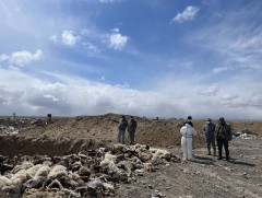 Хорогдсон 5.6 сая малын сэг зэмийг устгалаа 