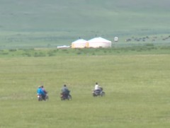 Ганц бие эрэгтэй малчдын тоо нэмэгдэж байна 