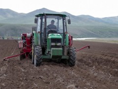 Тариалалт 70 хувьтай үргэлжилж байна