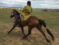 Жороо морио уралдуулж амжилт гаргасан уяачдад цол олгодог болно