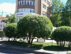 Барилга, орон сууцны талбайн 20 хувьд нь заавал ногоон байгууламж бий болгох ёстой