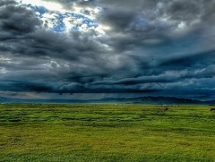 Ихэнх нутгаар сэрүүсэж, говь, тал, хээрийн нутгаар салхитай байна