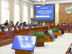 Ерөнхий хяналтын сонсголоор цуврал хэлэлцүүлгийн талаарх мэдээлэлтэй танилцаж, шинжээчдийн дүгнэлт..