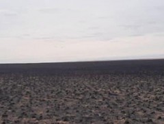 Хэнтий, Сүхбаатар аймагт гарсан хээрийн түймэрт урьдчилсан байдлаар 45600 га талбай өртжээ